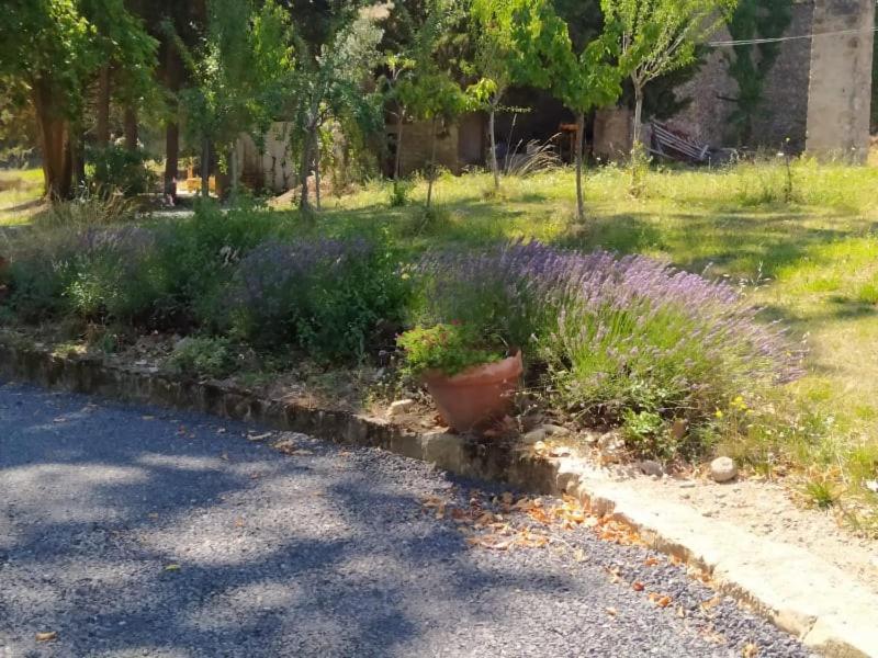 Les Amis De Gaure Appartement Rouffiac-d'Aude Buitenkant foto